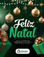 🎄✨ Feliz Natal! ✨🎄