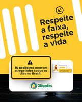 Maio Amarelo 2025