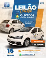 Realização do Leilão